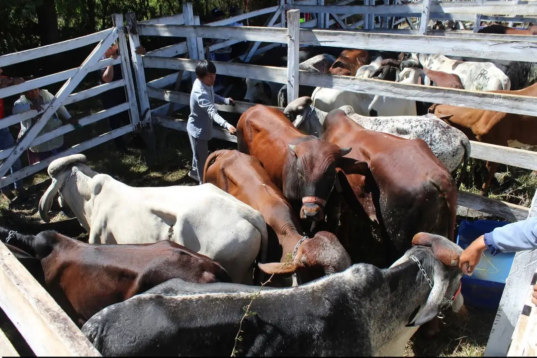 Feria Ganadera, Artesanal y Cultural de  Vallegrande