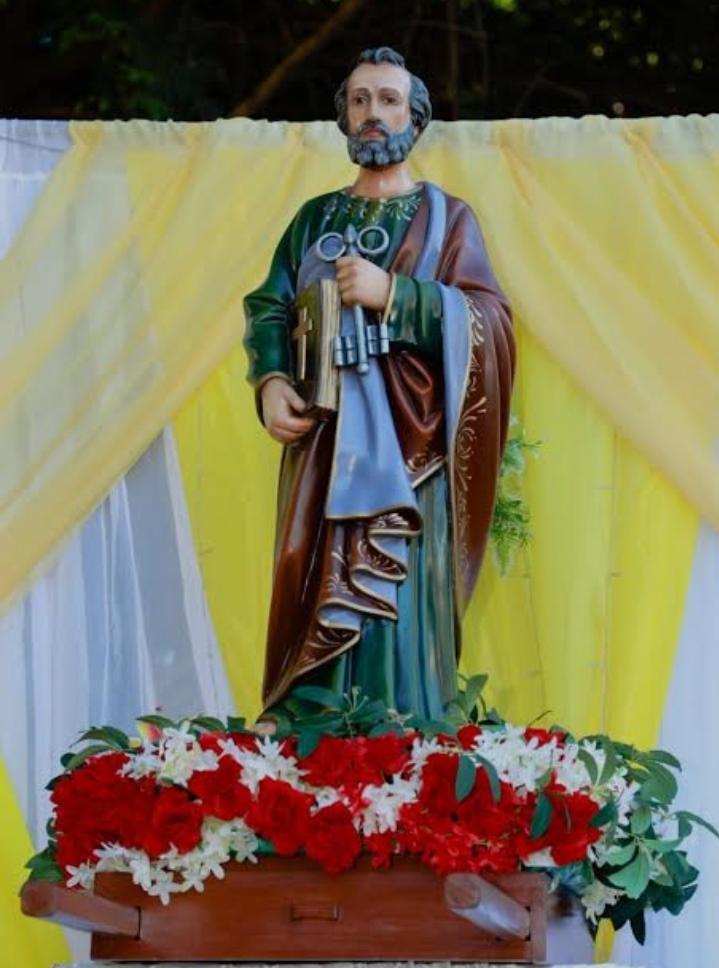 Galería Fiesta Patronal de San Pedro 