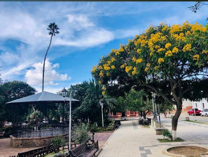 Plaza 26 De Enero 