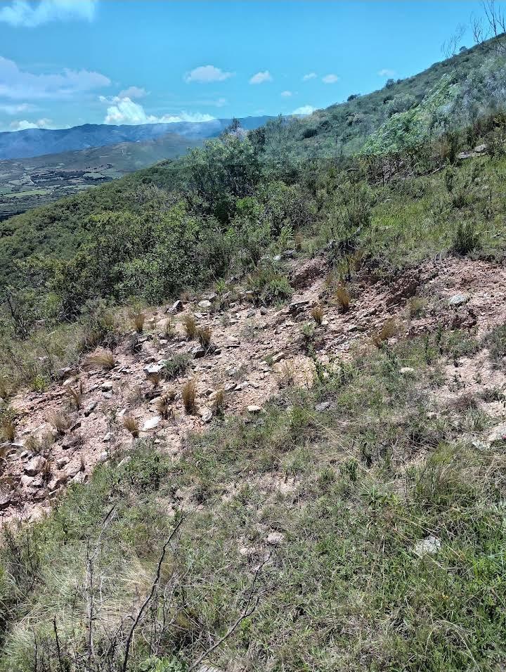 Vallegrande Galería