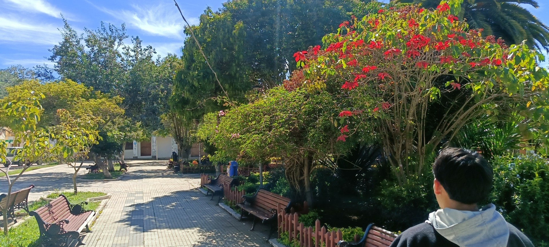 Galería Plaza 26 De Enero 
