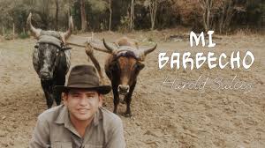 Mi Barbecho